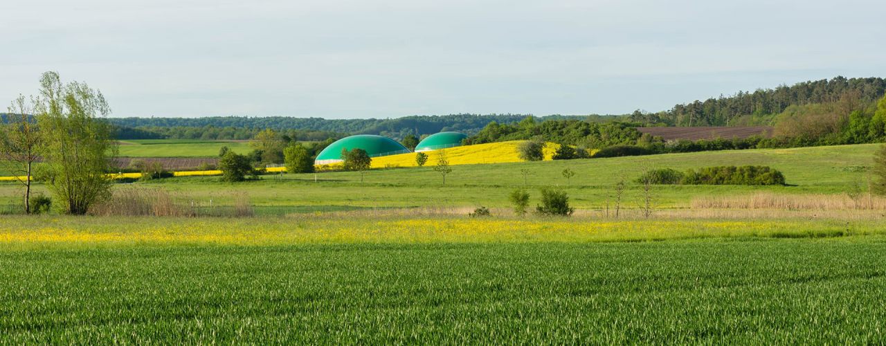 brv landschaft